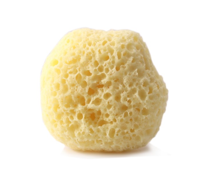 Fine sponge Natural