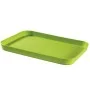 Dvipusis padėklas Kitchen Essentials, žalias Dvipusis padėklas Kitchen Essentials, žalias