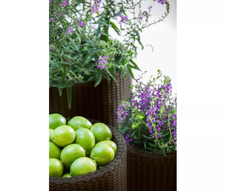 Keter Cylinder vazonų rinkinys, 3 vnt, ruda