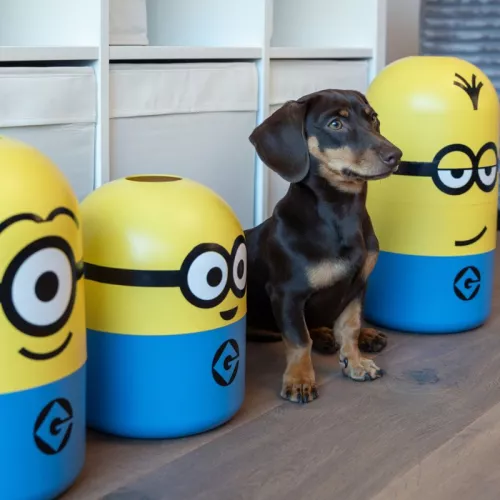 Minions and friends