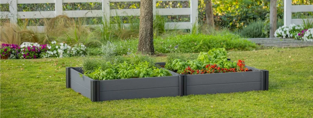 Järgige neid lihtsaid näpunäiteid Insta-väärilise aia loomiseks