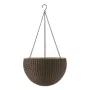 Riputatavad lillepotid Keter Sphere, 8.6 L, moka, 8 tk