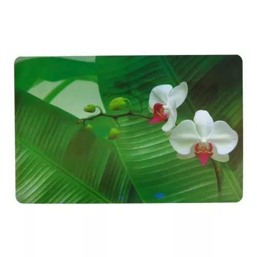 Placemat 43.5x28cm orchid