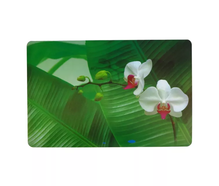 Placemat 43.5x28cm orchid
