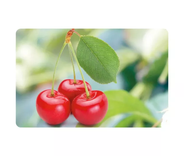 Placemat 43.5x28cm cherries