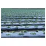 Garden film compostable BioAgri Garden 1.2x7m for 1–3 year old plants 35mqr. black