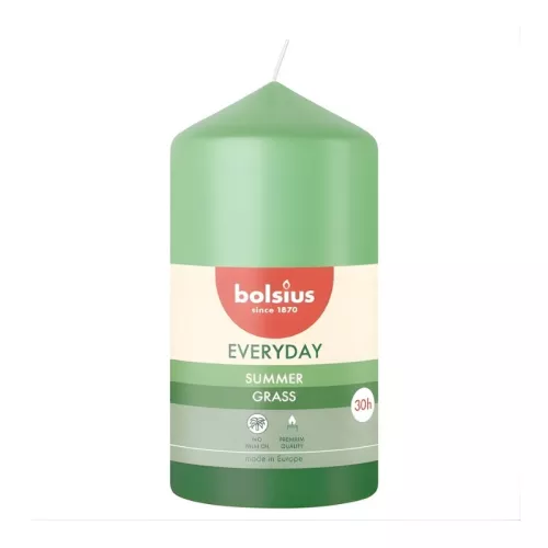 Küünla silinder Igapäevane Ø110x58mm suvine rohi