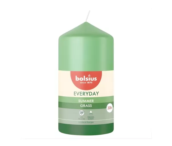 Candle cylinder Everyday Ø110x58mm summer grass