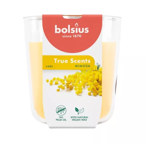 Žvakių kvapo stiklinis indelis „True Scents“ Ø97x85mm mimosa
