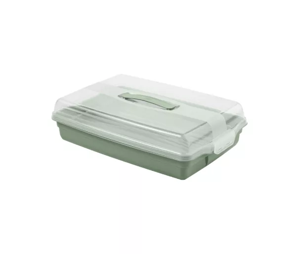Torto transportavimo dėžė stačiakampė 45x29.5x11.1cm žalia