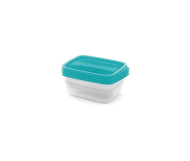 Rectangular food container set 4x0.75L Vedo transparent green