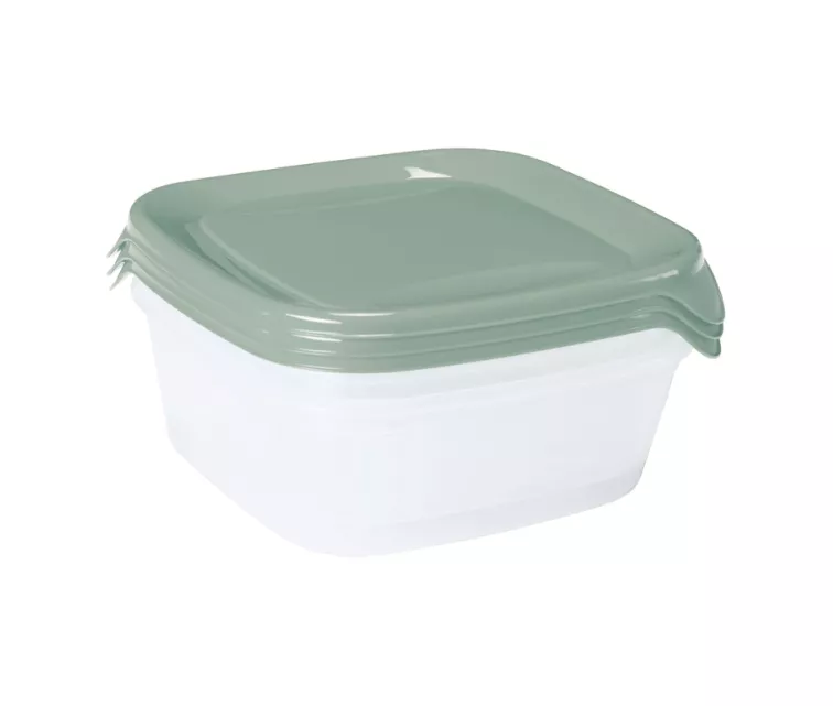 Maisto konteinerių rinkinys, 3 vnt., kvadratiniai, 3 x 0,8 l, „Fresh&Go“, žalias