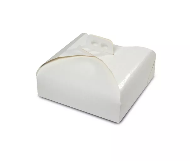 Easy Bake Paper Cake Carrying Box 29x29x9cm