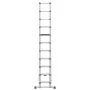 Telescopic ladder Master T100 / aluminum / 11 steps