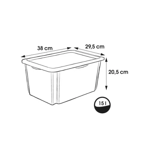 Kaanega karp 15L Karolina "Winnie the Pooh" 38x29,5x20,5cm läbipaistev