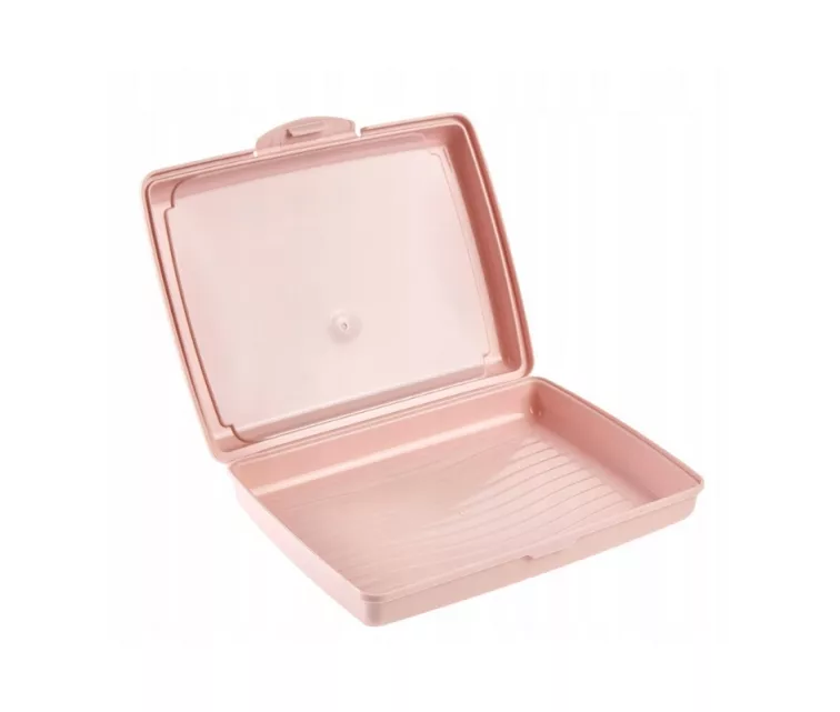 Контейнер для хранения продуктов deco-click-box mini 0.5L Carla “Fruits” 17x13x3.5cm розовый