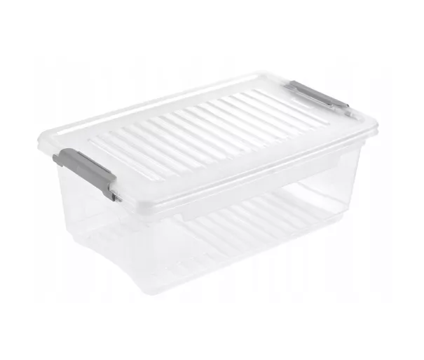 Box with lid clipbox Leonie 28.5x18.5x10.5cm 3.7L transparent