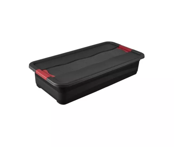 Transport box Eckhart 79.5x39.5x17cm 33L in graphite color