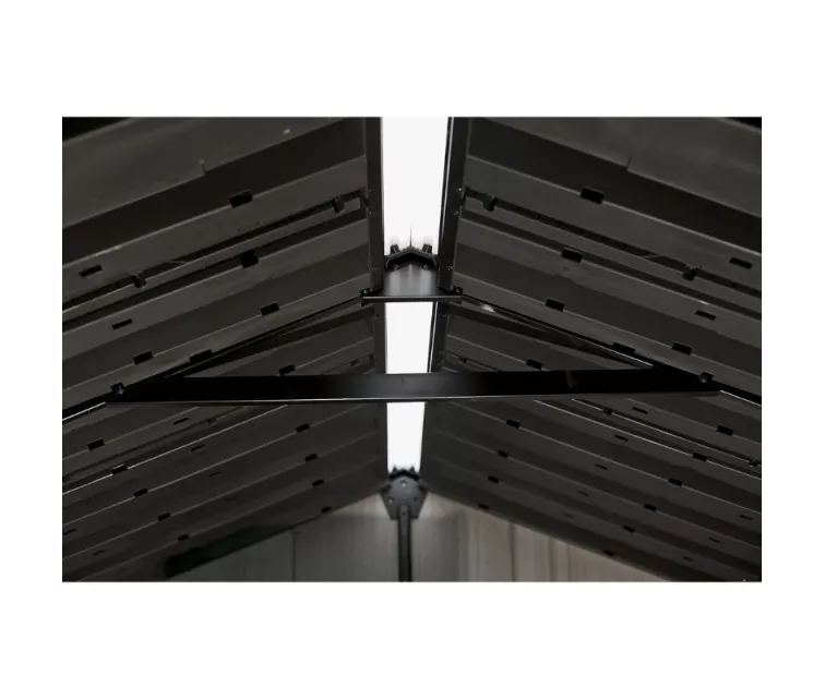 Garden shed Newton Plus 7x7.5 brown