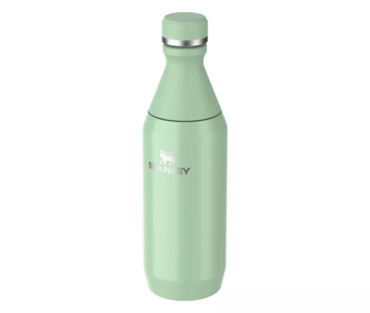 Thermos The All Day Slim Bottle 0.35L glossy pistachio color