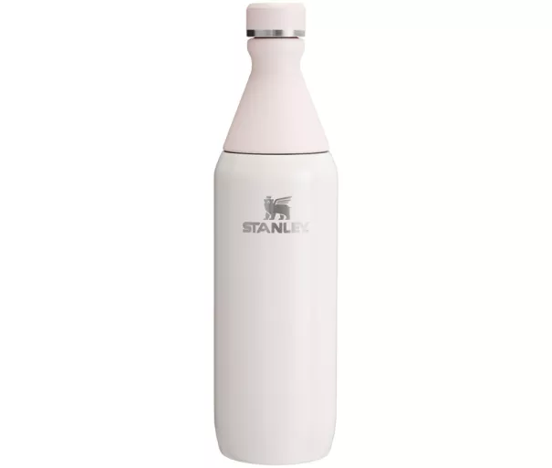 Termospudel The All Day Slim 0,59L läikiv heleroosa
