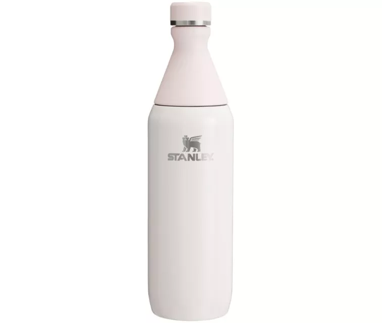 Thermo Bottle The All Day Slim Bottle 0,6L hele roosa