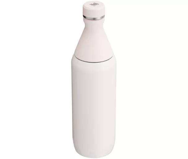 Termospudel The All Day Slim 0,59L läikiv heleroosa