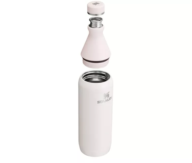 Thermo Bottle The All Day Slim Bottle 0,6L hele roosa