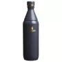 Termopudele The All Day Slim Bottle 0,6L glancēti pelēka