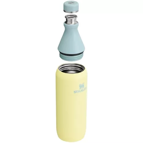 Termospudel The All Day Slim Bottle 0,6L läikiv pomelo kollane-roheline