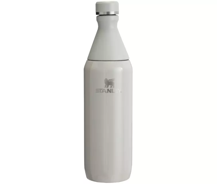 Termospudel The All Day Slim Bottle 0,6L läikiv helehall