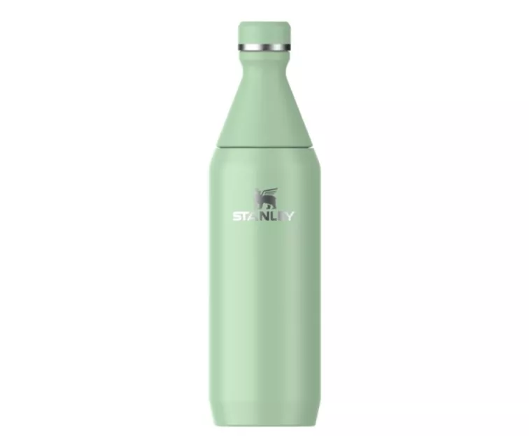 Thermos The All Day Slim Bottle 0.6L glossy pistachio color