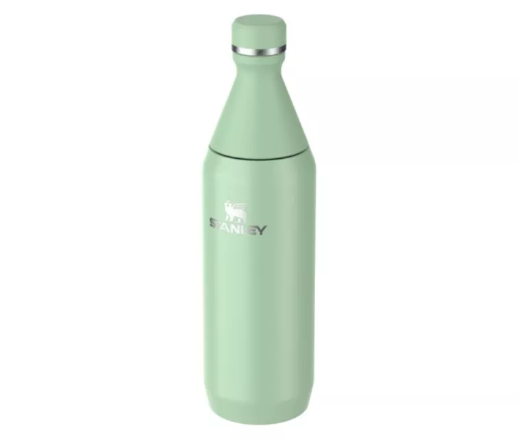 Thermos The All Day Slim Bottle 0.6L glossy pistachio color