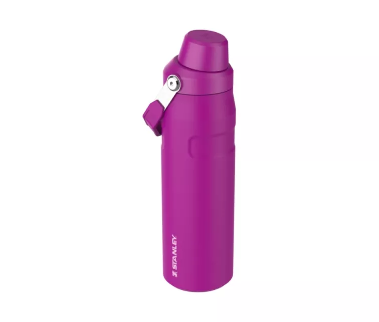 Terminis gertuvė „The IceFlow Bottle Fast Flow“ 0,7 l, violetinė