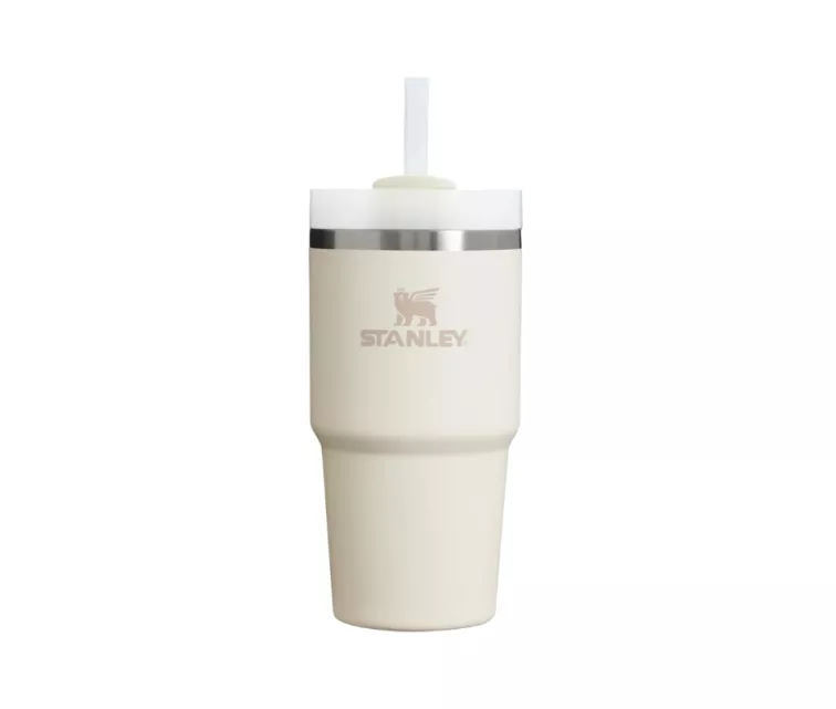Thermos mug with straw The Quencher H2.O FlowState Tumbler 0.6L cream 2.0