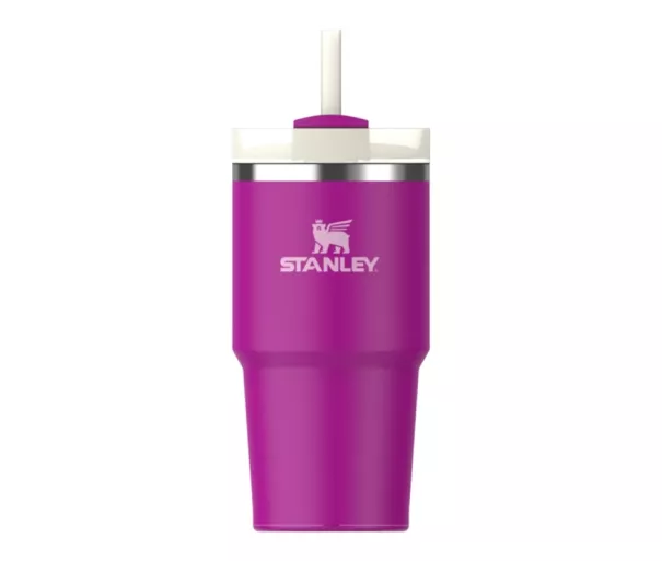 Термокружка с трубочкой The Quencher H2.O FlowState Tumbler 0.59L фиолетовая