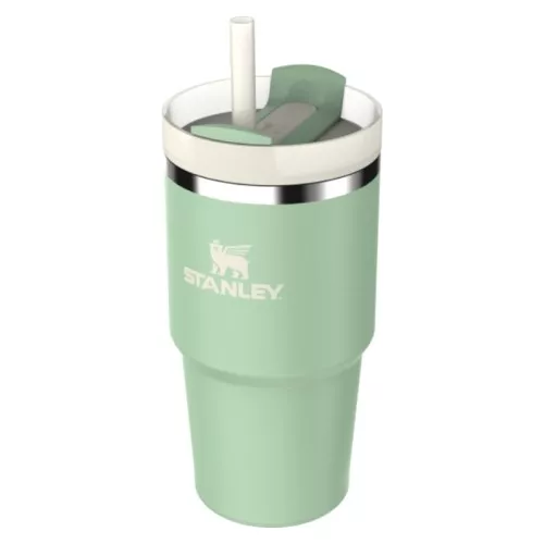 Thermo mug with straw The Quencher H2.O FlowState Tumbler 0.6L pistachio color