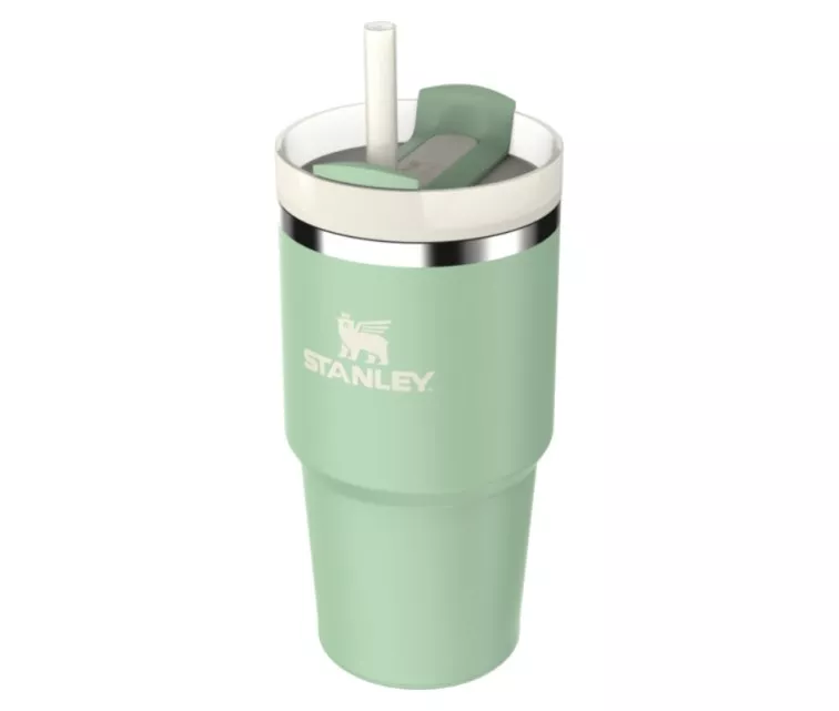 Термокружка с трубочкой The Quencher H2.O FlowState Tumbler 0,6 л фисташкового цвета
