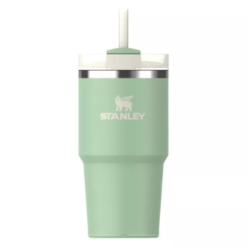 Thermo mug with straw The Quencher H2.O FlowState Tumbler 0.6L pistachio color