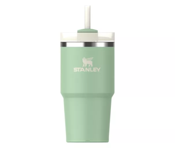 Термокружка с трубочкой The Quencher H2.O FlowState Tumbler 0.59L фисташкового цвета