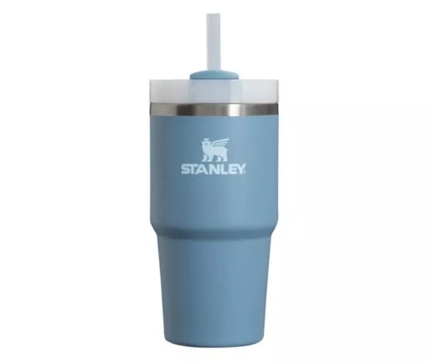 Termoskruus kõrrega The Quencher H2.O FlowState Tumbler 0.59L sinakasvioletne