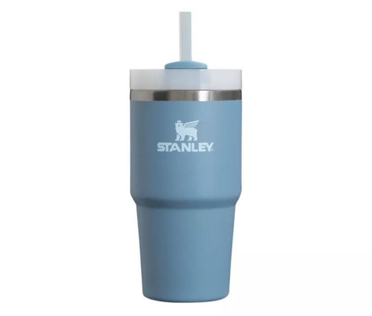Thermos mug with straw The Quencher H2.O FlowState Tumbler 0.6L blue-violet