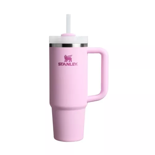 Thermo mug with straw The Quencher H2.O FlowState Tumbler 0.89L pink
