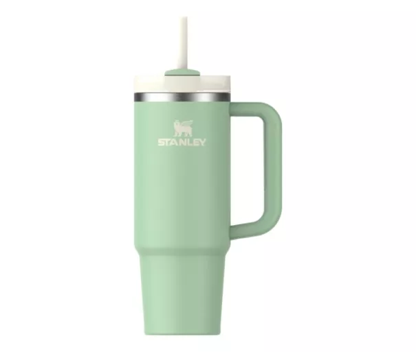 Thermo mug with straw The Quencher H2.O FlowState Tumbler 0.89L in pistachio color