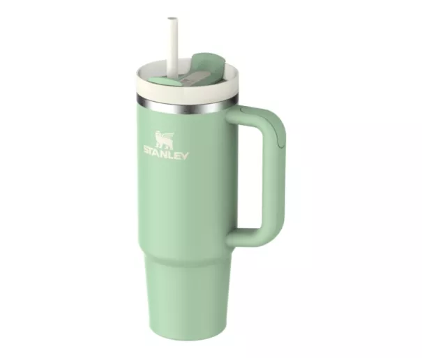Thermo mug with straw The Quencher H2.O FlowState Tumbler 0.89L in pistachio color