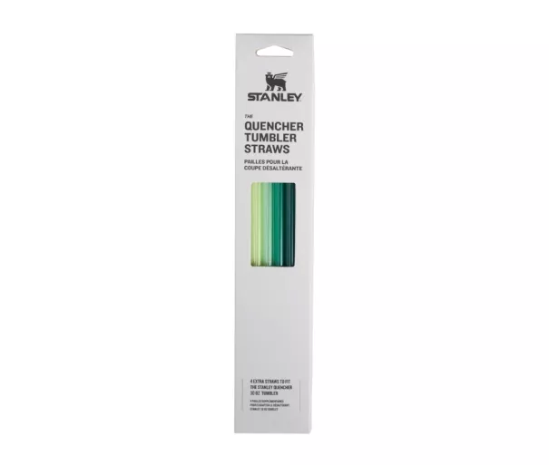 4 šiaudelių rinkinys termo puodeliams „The Quencher Travel Tumbler Straws 0,89 l“, žalias