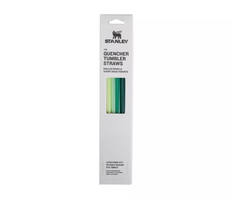 Salmiņu komplekts 4 gab. termokrūzēm The Quencher Travel Tumbler Straws 0,89L zaļi