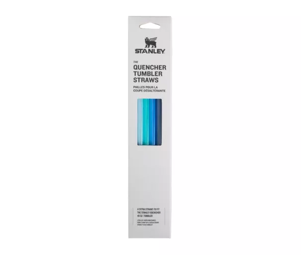Termokruuside kõrte komplekt 4 tk The Quencher Travel Tumbler Straws 1.18L sinine