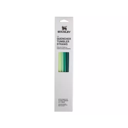 Salmiņu komplekts 4 gab. termokrūzēm The Quencher Travel Tumbler Straws 1,18L zaļi 