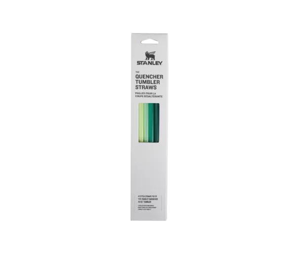 Termokruuside kõrte komplekt (4 tk) The Quencher Travel Tumbler Straws 1.18L roheline